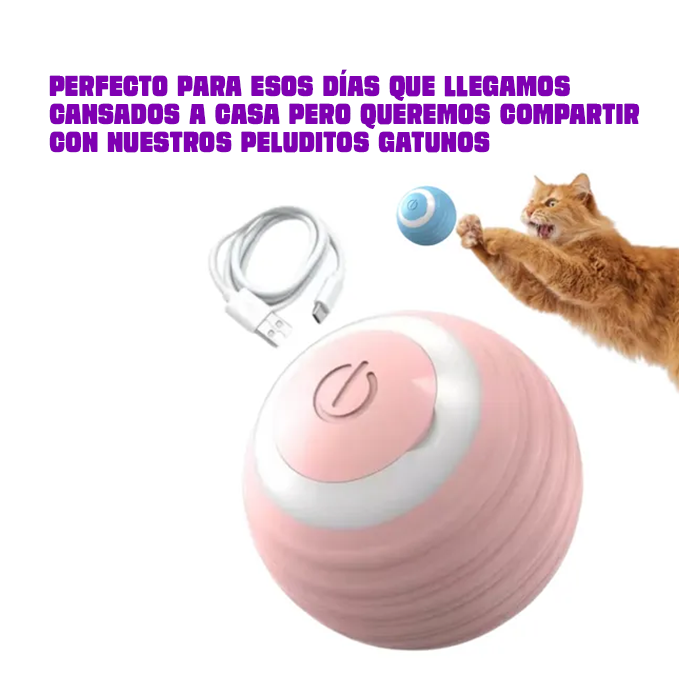 Pelota Interactiva para mascotas
