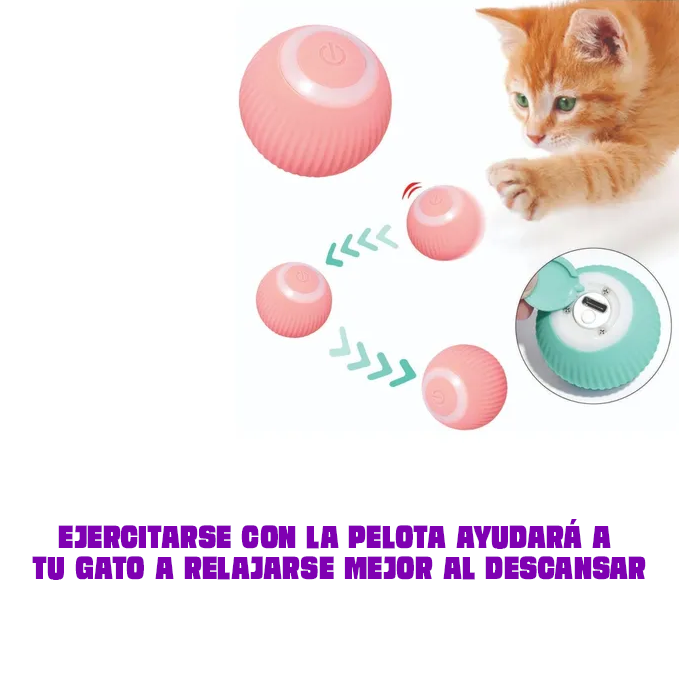 Pelota Interactiva para mascotas